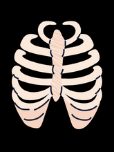 Load image into Gallery viewer, RIBS T-Shirt